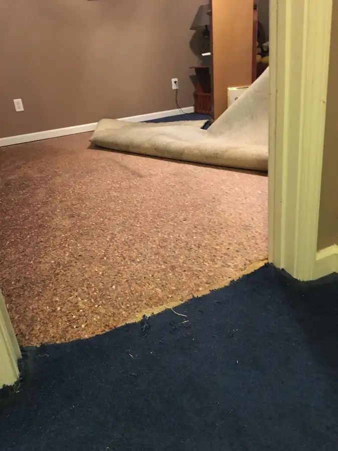 Carpet pad removal revealing water damage during Water Mitigation Services in Rowlett