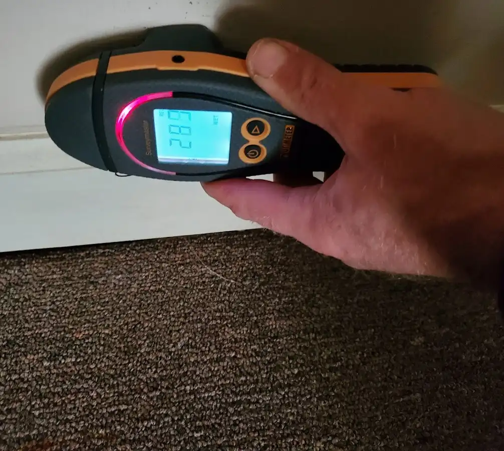 Moisture detection at baseboard during Sewage Cleanup & Sanitation in Rowlett